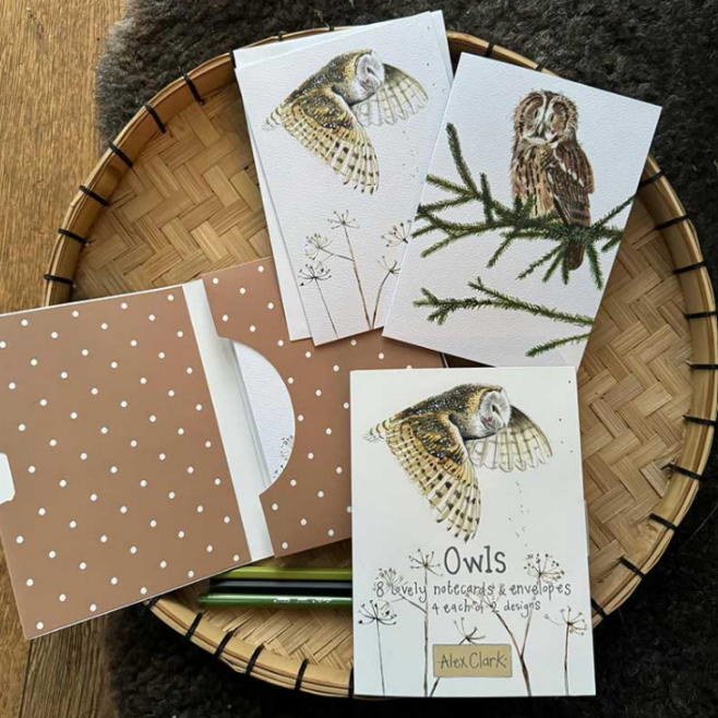 Owls Boxed Notecards